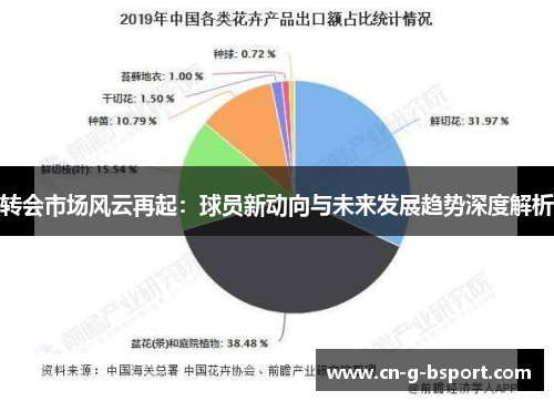 转会市场风云再起：球员新动向与未来发展趋势深度解析